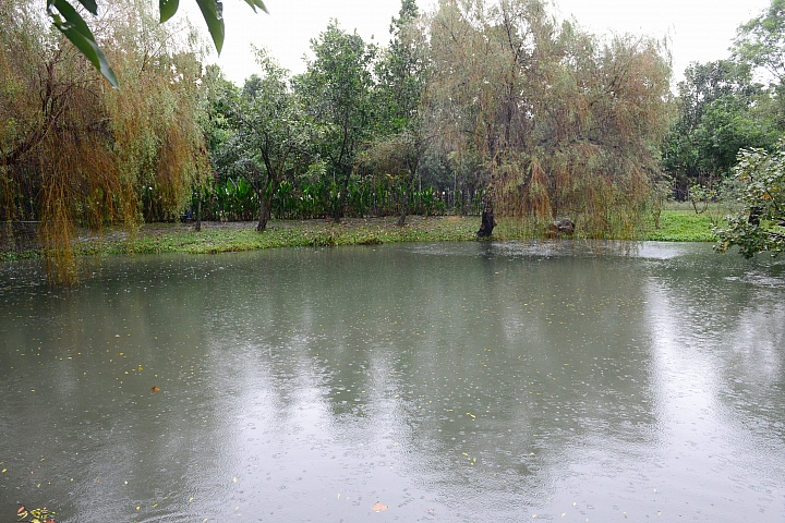 在陽光下、在雨中、在兩者之間，里港大茉莉紙磚屋提供閒情。