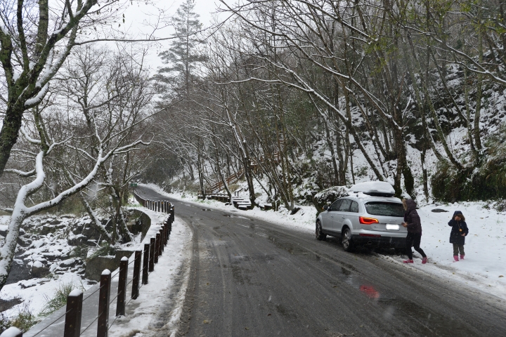 Q7賞雪行
