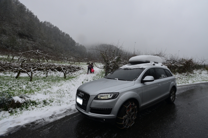 Q7賞雪行