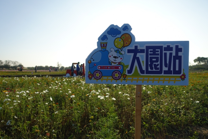 心花怒放之桃園花彩節行