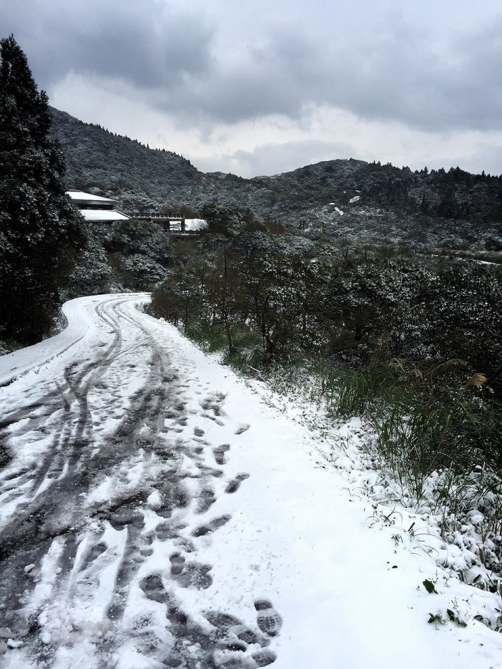 賞雪 帶PENTAX就對了