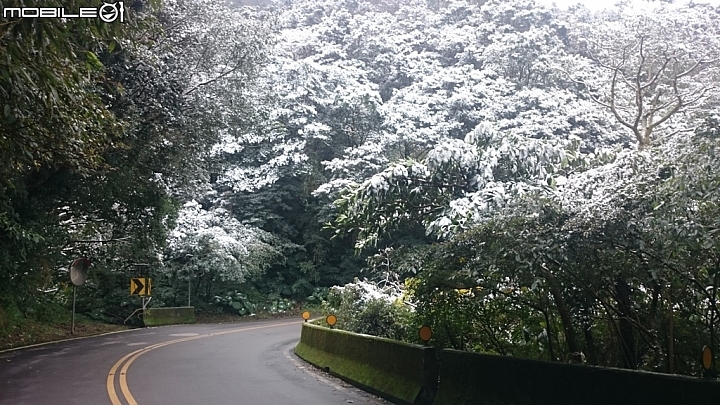 2016/1/25陽明山巴拉卡大屯自然公園賞雪單車行