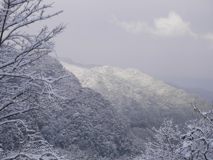 請問SUBARU XV 雪鏈台灣何處尋?