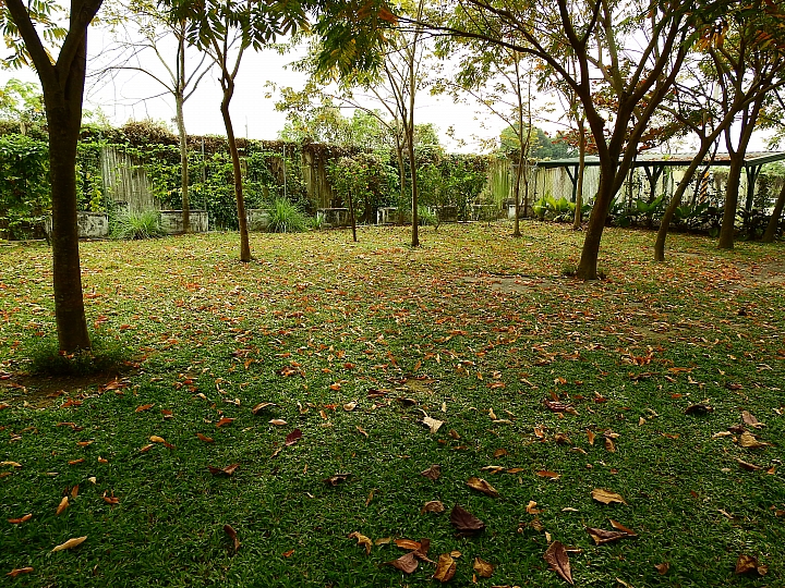 在陽光下、在雨中、在兩者之間，里港大茉莉紙磚屋提供閒情。