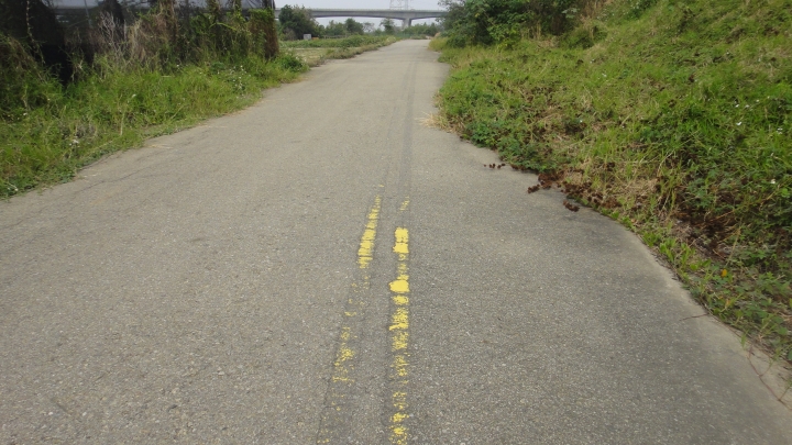 2016-01-02望高寮、磺溪書院、麗水漁港 消化特休假拼命玩之五