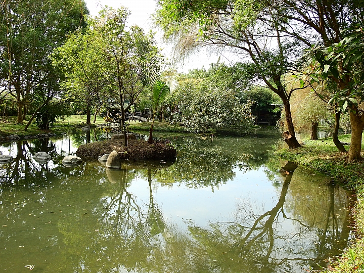 在陽光下、在雨中、在兩者之間，里港大茉莉紙磚屋提供閒情。