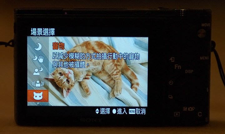見證神蹟(機)捕捉瞬間的美好時刻 SONY RX100 M4 可以輕鬆辦到嗎？