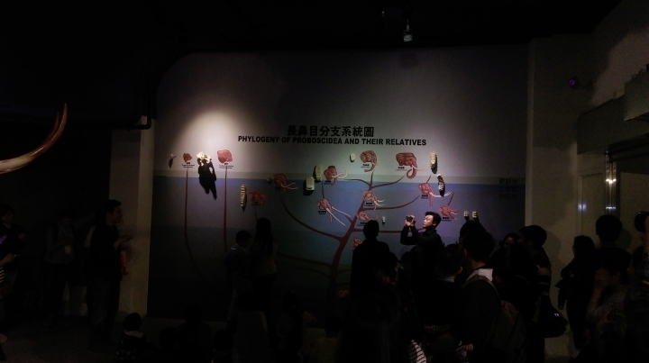 穿越侏儸紀世界-與恐龍睡一睌~~大人小孩超興奮!!