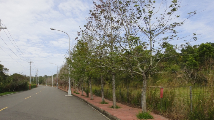 2016-01-02望高寮、磺溪書院、麗水漁港 消化特休假拼命玩之五