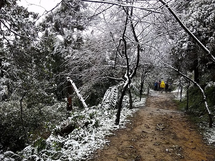 基隆姜子寮山竟然下雪