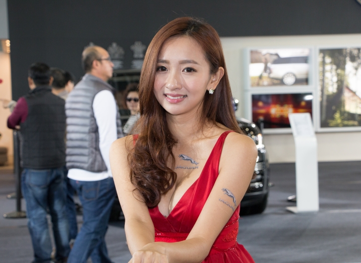 2016高雄車展