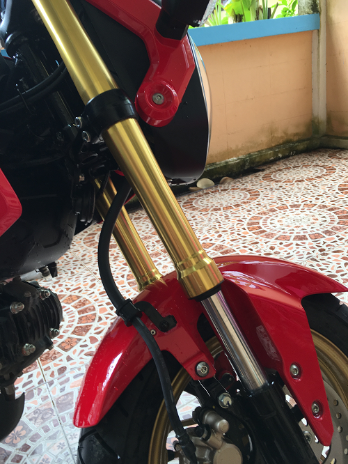 HONDA MSX 125 開箱文