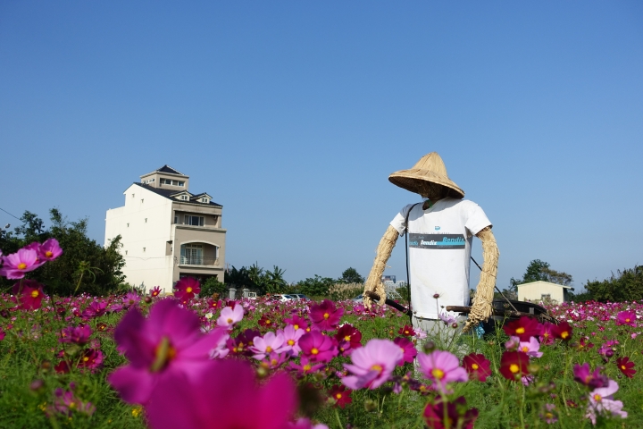 心花怒放之桃園花彩節行