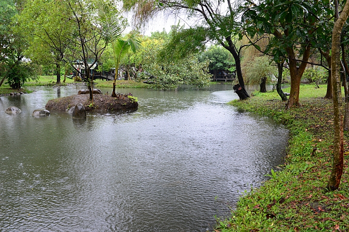 在陽光下、在雨中、在兩者之間，里港大茉莉紙磚屋提供閒情。