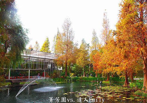 【彰化田尾】:菁芳園庭園餐廳,觀賞落羽松正當令,半自助Buffet0吃到飽