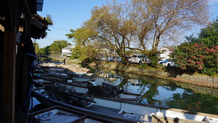 秋之日本 雷諾自駕微旅行 跟著LUTECIA出發吧