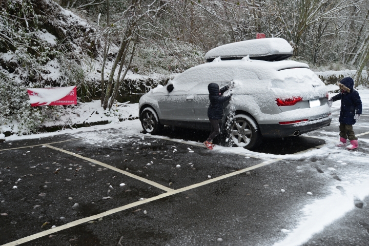 Q7賞雪行