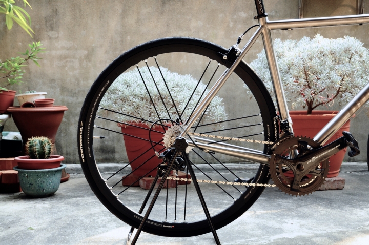 [分享] 第一台夢想車- Dodsun鈦車架+campagnolo chorus+shamal Mille