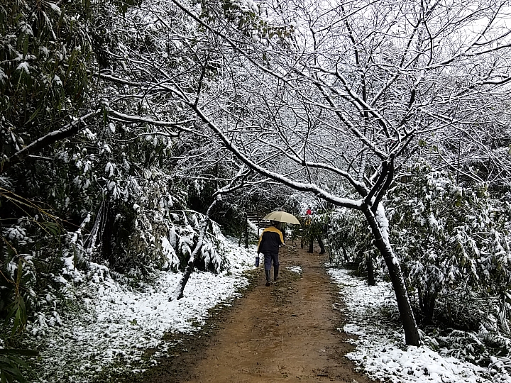 基隆姜子寮山竟然下雪