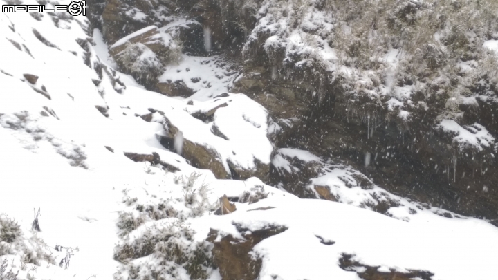 105合歡山下大雪嘞