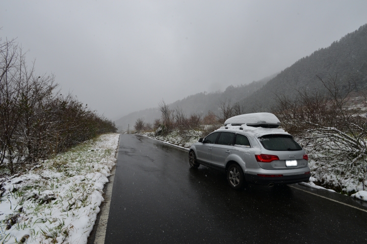 Q7賞雪行