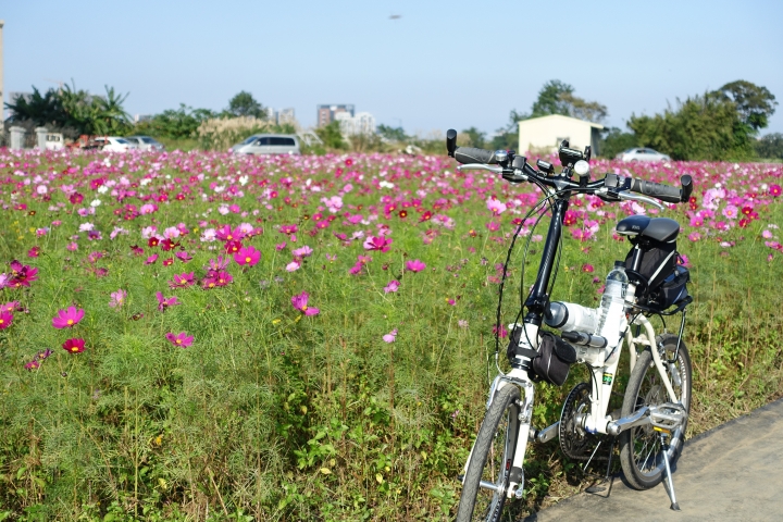 心花怒放之桃園花彩節行