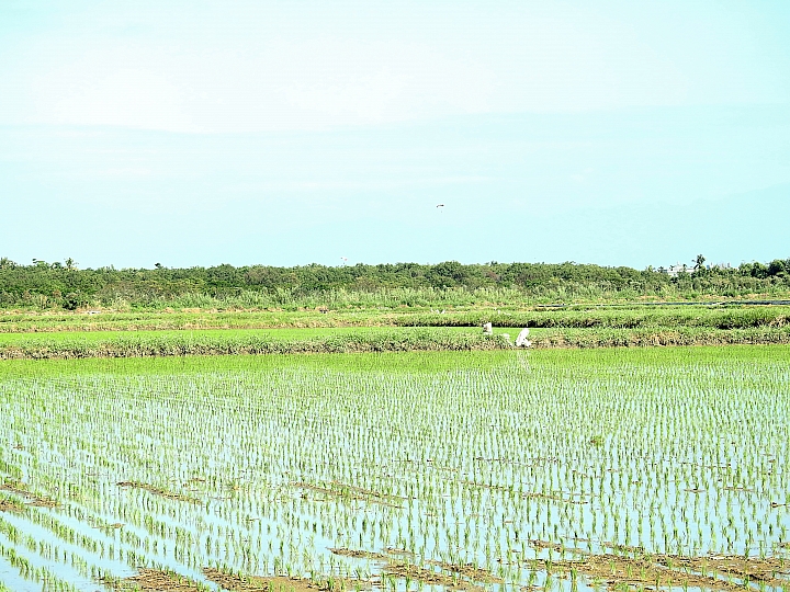 Nikon P900在家跨年過元旦，記錄好幾天的精彩，並分享星空、星軌、夜景。