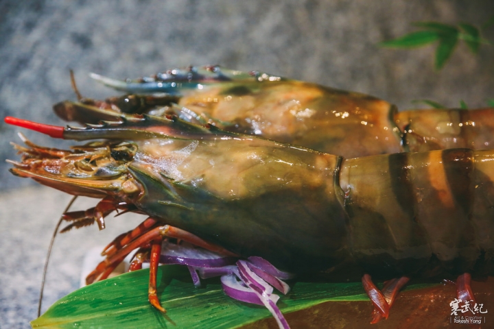 【中肯‧食記】市民大道‧頂焰精肉小酒館｜超神奇創意香檳生蠔‧日法頂級火焰炙燒料理！