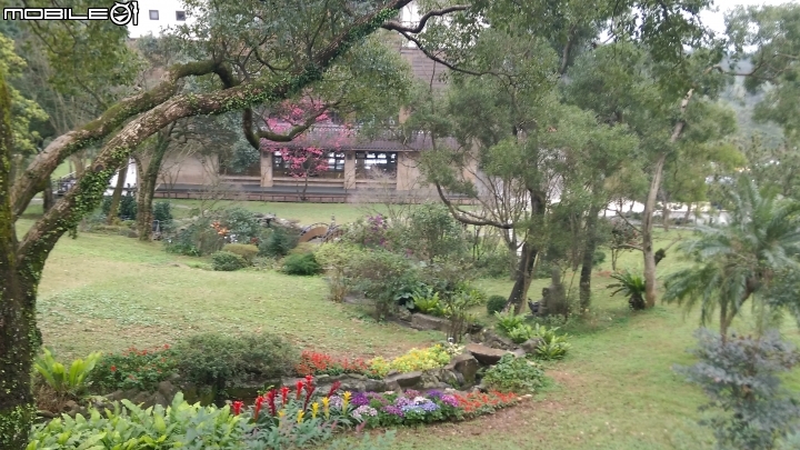 新北三芝緣道觀音廟
