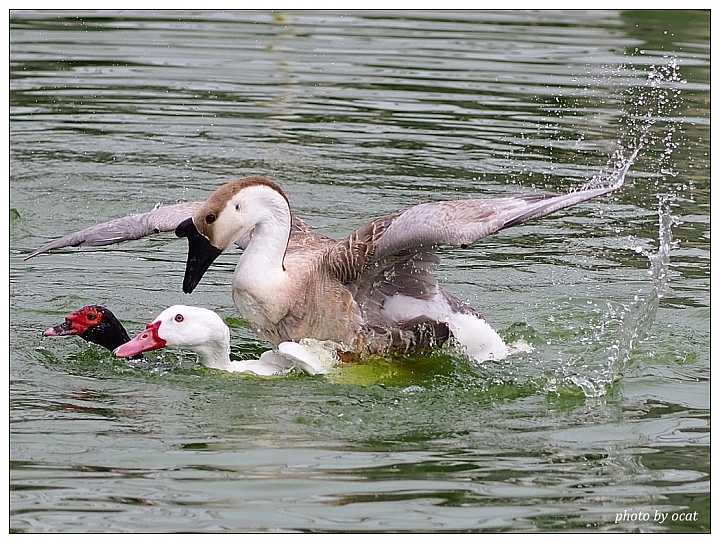 我與我過時的EP5同遊+心情隨拍(更新中)