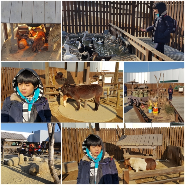 [遊記]2016冷吱吱首爾之旅(第三天_2016/1/19)