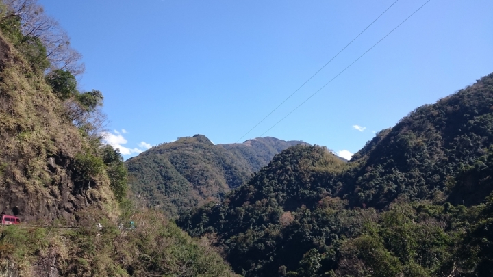 北橫櫻花勇士
