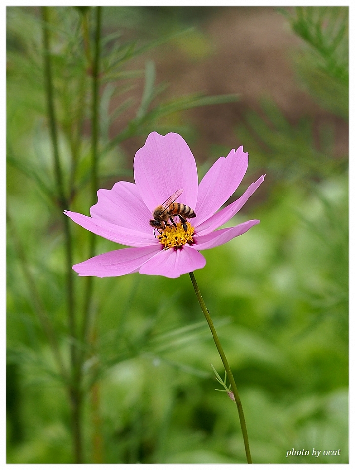 我與我過時的EP5同遊+心情隨拍(更新中)