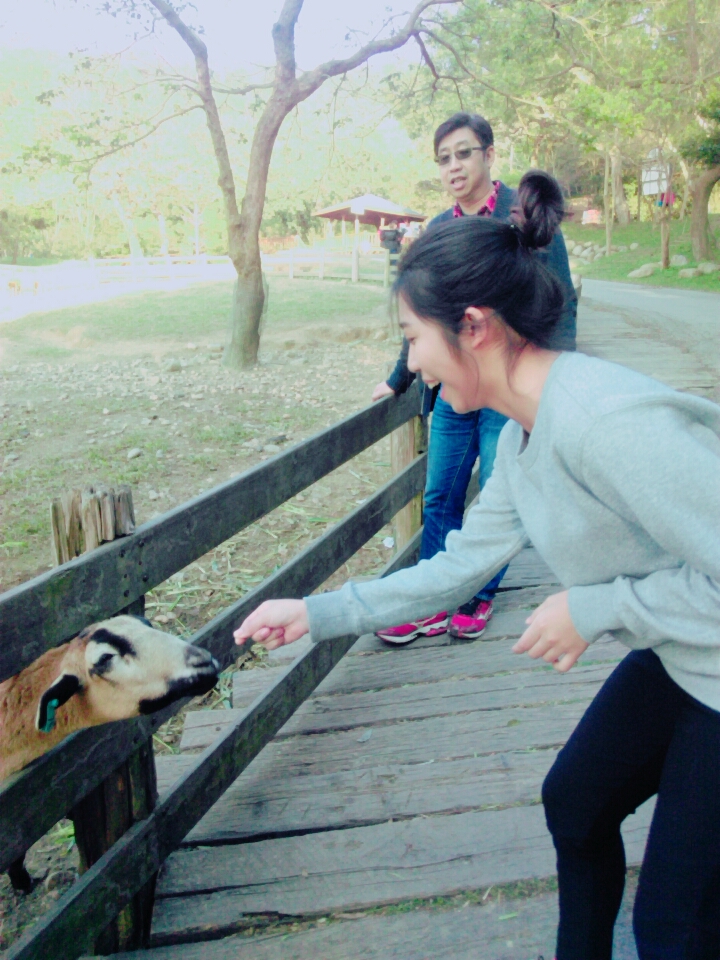 求大神p圖