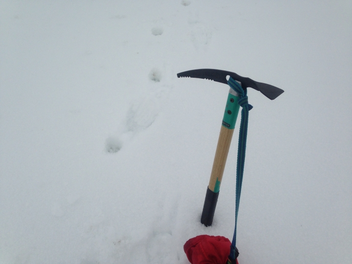 鬼行 ™ 冬雪隱士 → 冰雪南湖自由攀登