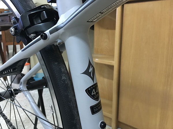 [完全不專業的開箱文] 新手入坑 Specialized Dolce Elite + Shinamo 105