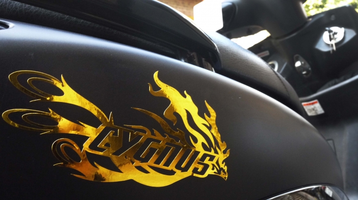 勁 戰 鳳 凰 彩 貼