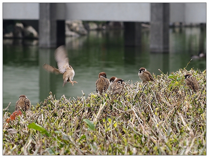 我與我過時的EP5同遊+心情隨拍(更新中)