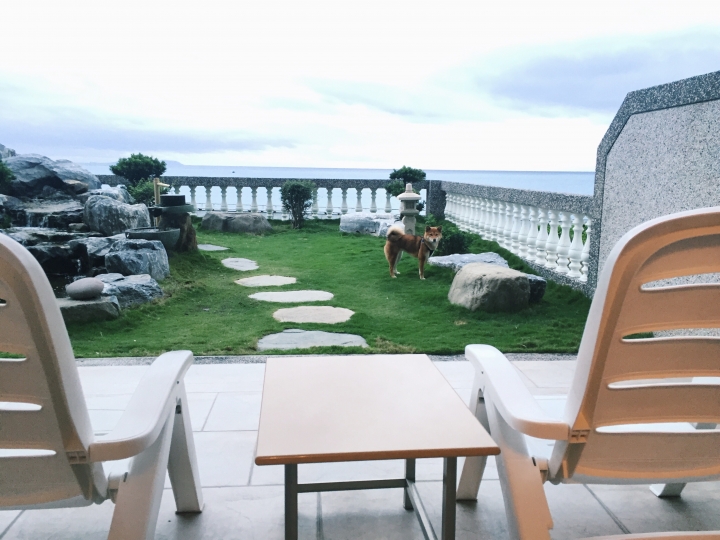 分享台東雲海灣寵物友善民宿經驗，獨立日式花園與超大海景浴缸。