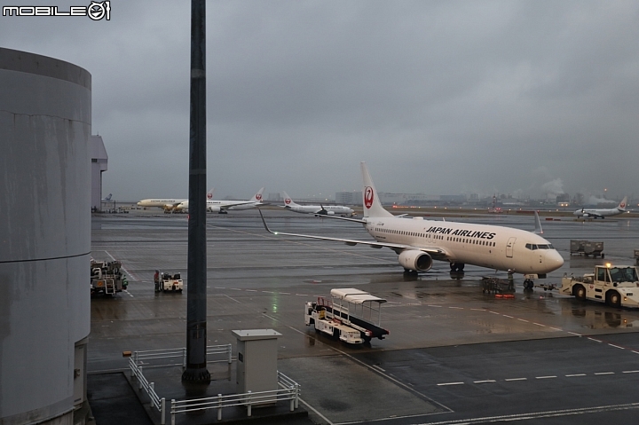 羽田機場一航站-日本航空飛日本國內線簡介