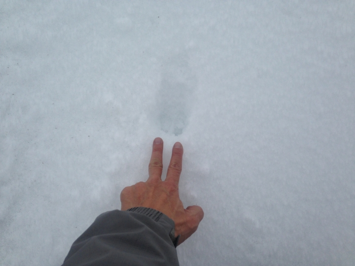 鬼行 ™ 冬雪隱士 → 冰雪南湖自由攀登