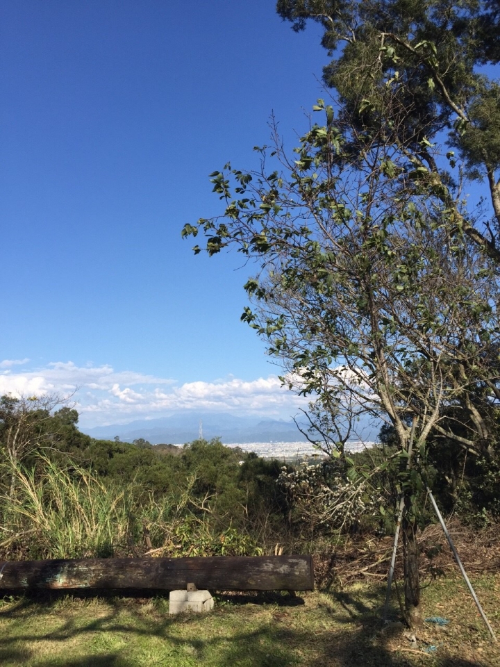 彰化市 過年來顏氏牧場走春