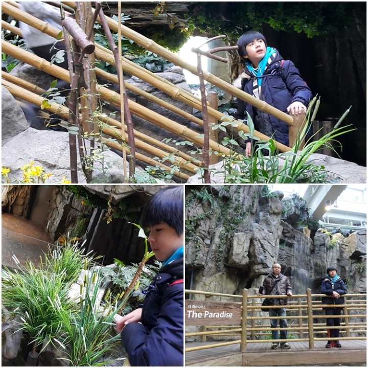 [遊記]2016冷吱吱首爾之旅(第三天_2016/1/19)