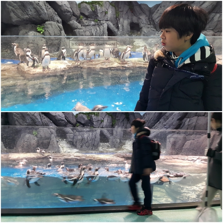 [遊記]2016冷吱吱首爾之旅(第三天_2016/1/19)