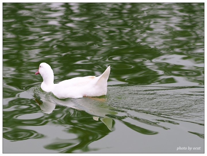 我與我過時的EP5同遊+心情隨拍(更新中)