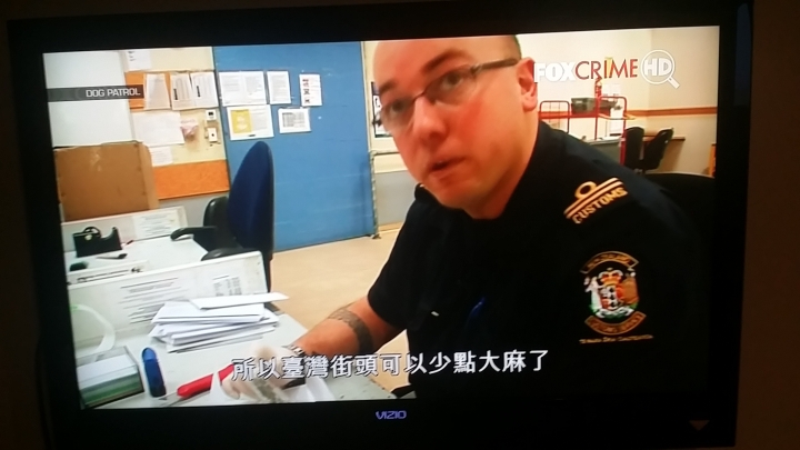 國際郵件 + 大麻 + 台灣