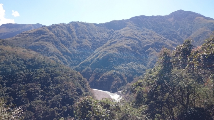北橫櫻花勇士