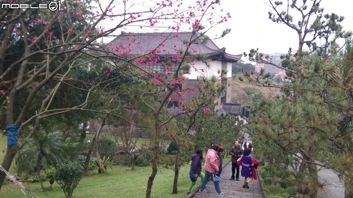 新北三芝緣道觀音廟