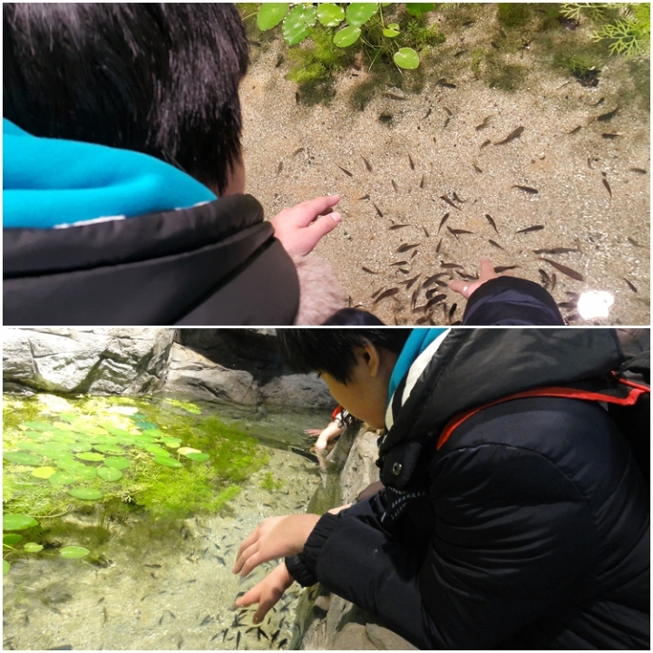 [遊記]2016冷吱吱首爾之旅(第三天_2016/1/19)