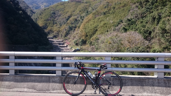 北橫櫻花勇士